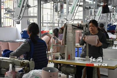 筑巢引鳳 邵東打造產業集聚發展“孵化器”