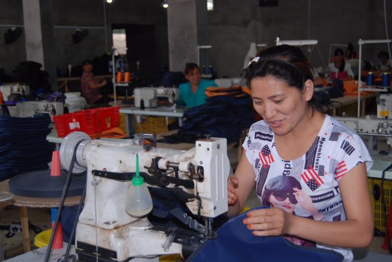 特色產業 富民興鎮--鄧州市九龍鎮特色產業助力脫貧